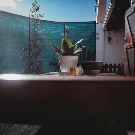 Art & History House In * אובידוס