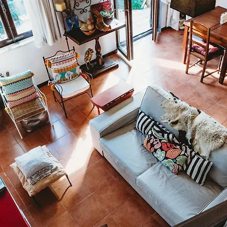 Art & History House In *