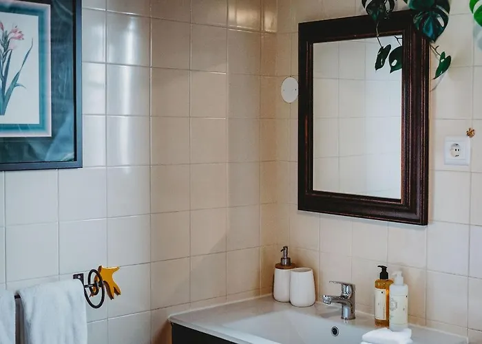 Art & History House In *