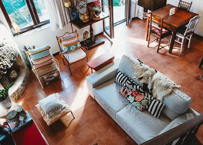 Art & History House In *